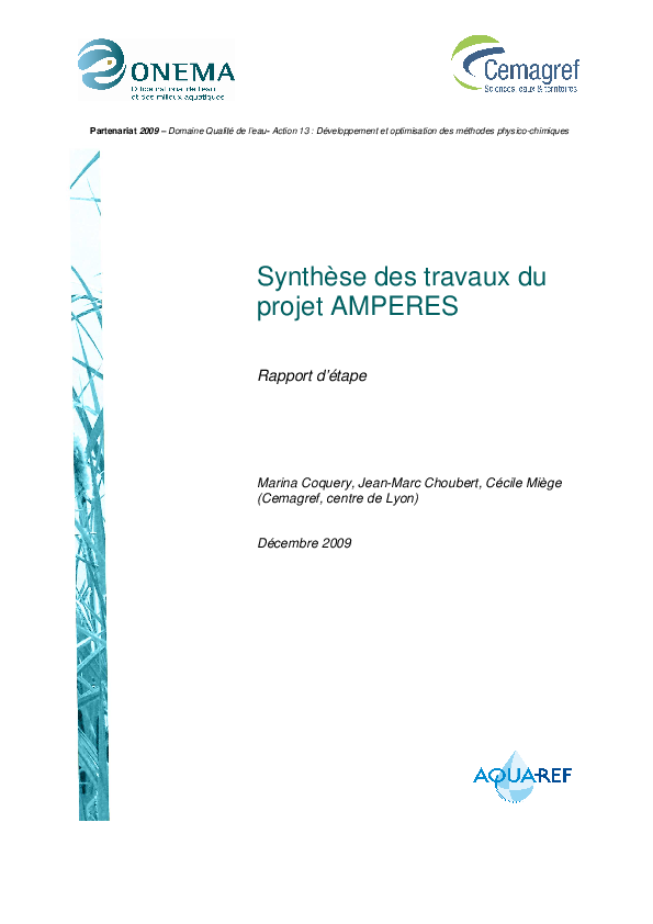 2009_AMPERES_action13.pdf